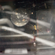 Image for article titled What Happens When You Send a Spider to Space?